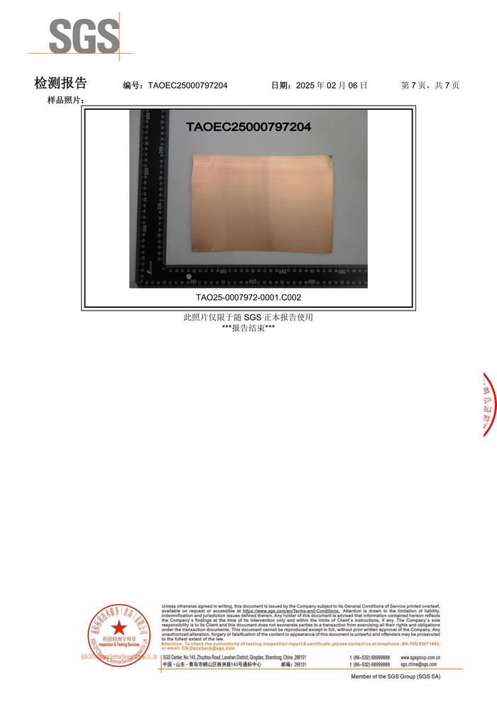 2025 Silver and Copper SGS Report (Chinese)